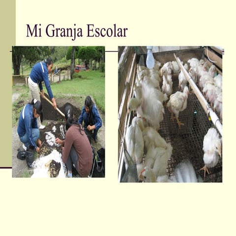 Mi granja escolar