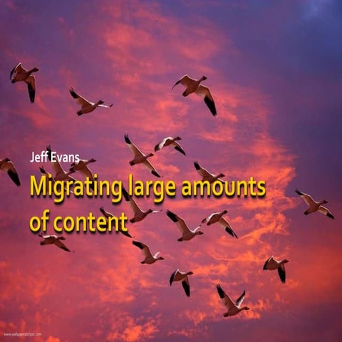 Migrating Large Amounts of Web Content