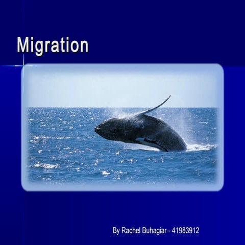 Migration Lesson 8