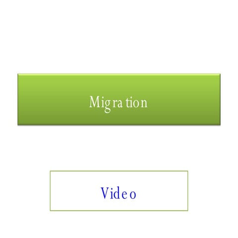Migration 2