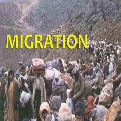 Migration  lesson 1