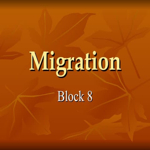 Migration 8