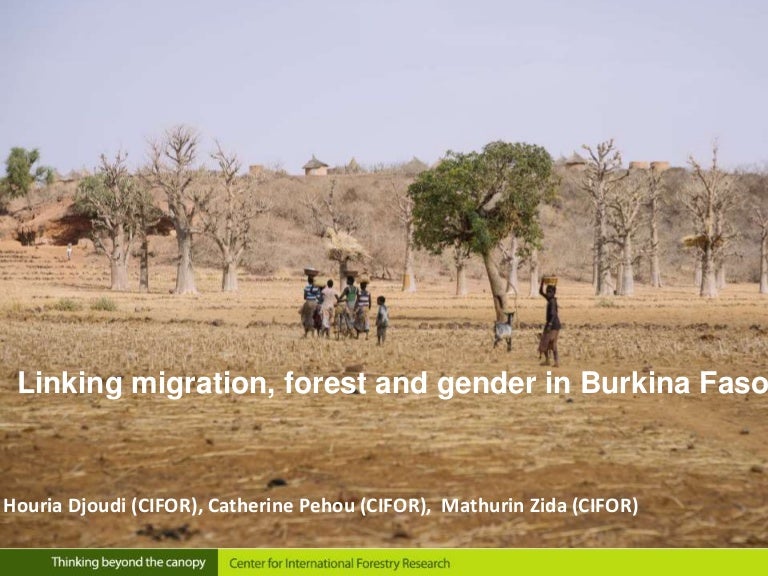 thumbnail of  Linking migration, forest and gender in Burkina Faso