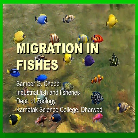 Migration in fishes