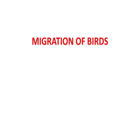 migration in Bird.pdf all details good data
