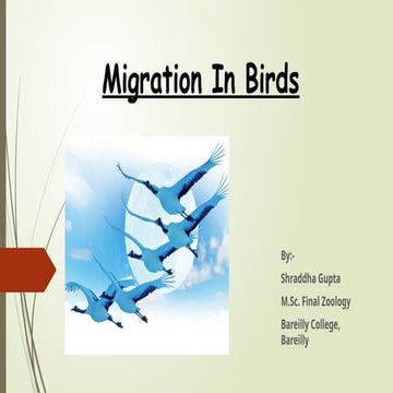 MIGRATION IN BIRDS by Shraddha Gupta.pptx