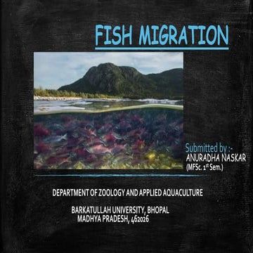 Migration in fishes