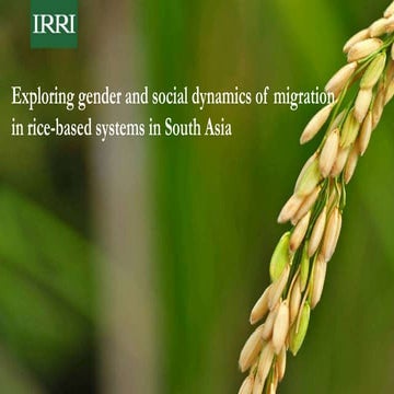 Migration in rice based systems 17-june19_puskur
