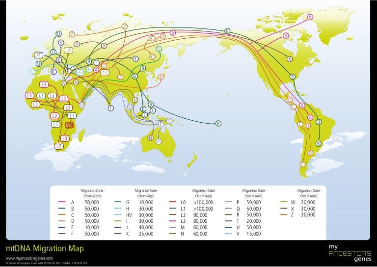 Migration map final