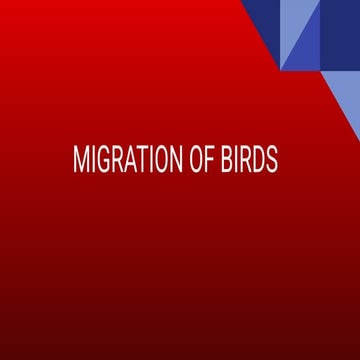 migration of birds, B.Sc. Zoology, Third year.pdf