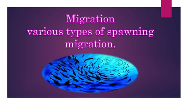 Migration of fishes and their importance of spawning migration
