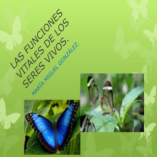 Funciones vitales de los seres vivos