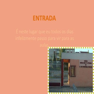 Miguel Rodrigues Tic