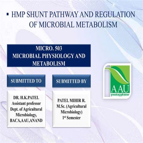 hmp-pathway-pptx