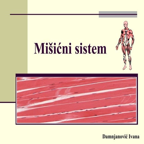 Mišićni sistem