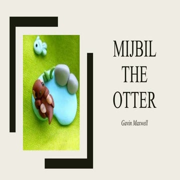 Mijbil the otter | PPT