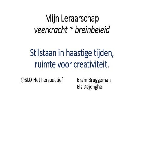 Mijn leraarschap veerkracht SLO Het Perspectief