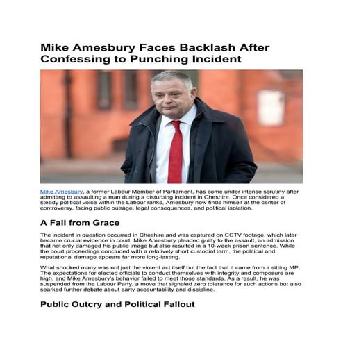 Mike Amesbury Faces Backlash After Confessing to Punching Incident