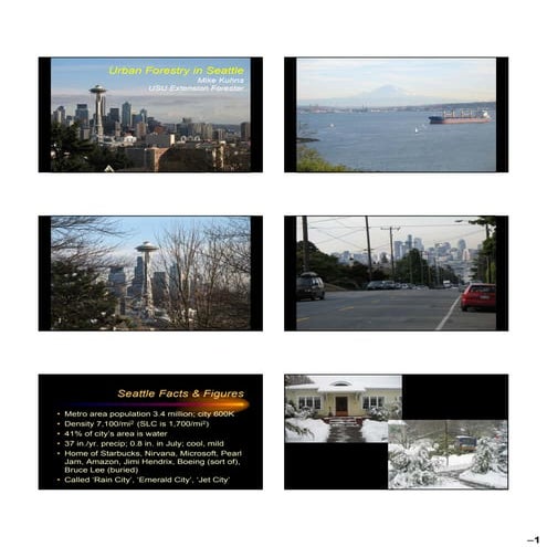 Mike Kuhns Urban Forestry Seattle