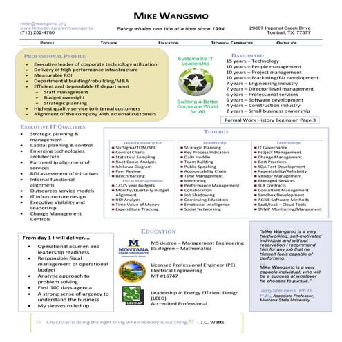 Mike Wangsmo CV