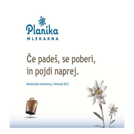 Sebastjan Rakun (Gorenje): Lansiranje nove blagovne znamke na ...