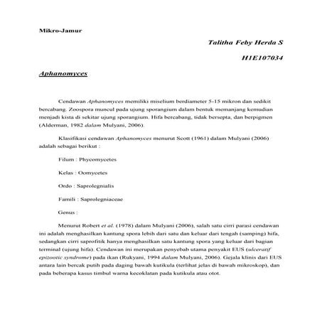 Mikr4 | PDF