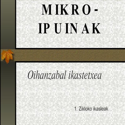 Mikro-ipuinak