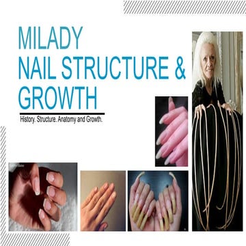 Milady nail structure