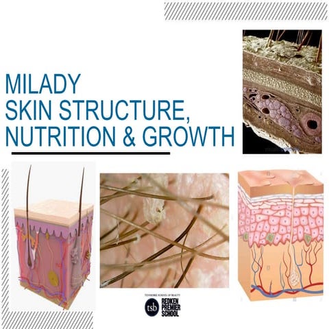 Milady Ch7 Skin Structure, Growth, Nutrition UPDATED