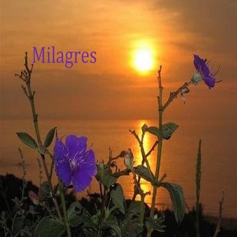 Milagres