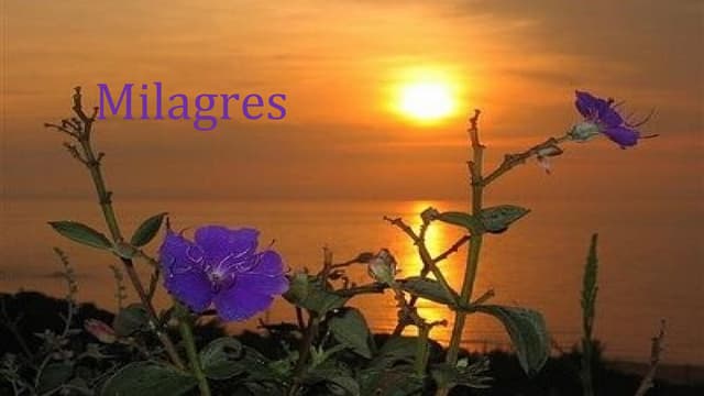Milagres (1)