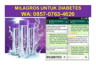 Air Milagros Surabaya, HP/WA 0857-0763-4626 (M3), Agen Milagros Surabaya Timur, Agen Milagros Surabaya Selatan