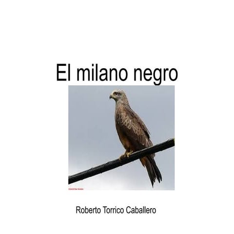 Milano negro 