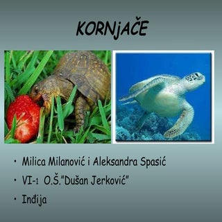 Milanović i Spasić