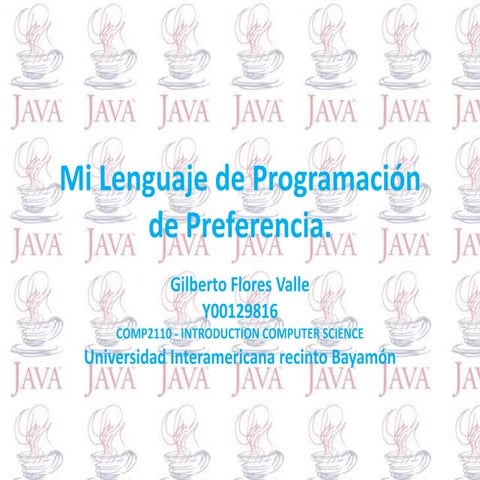 Mi lenguaje de programación de preferencia