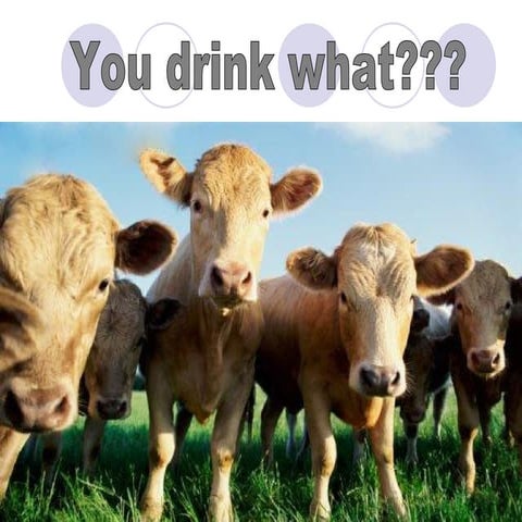 In favor of raw organic cows milk