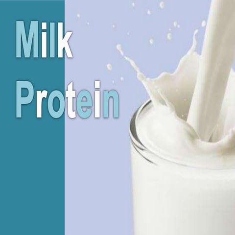 Milk protein-57080006 | PPT