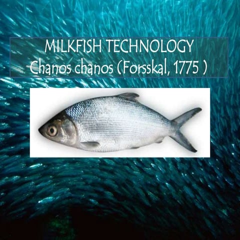 Biology and Farming Economics of Production Milk fish by B.pdf