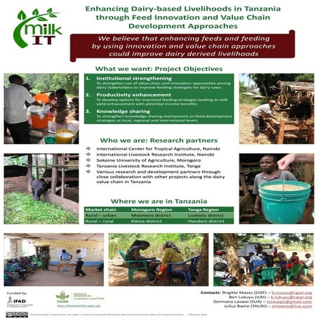 Enhancing dairy-based livelihoods in Tanzania through feed innovation and val...