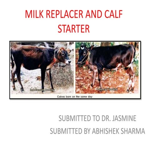 Milk replacer and calf starter