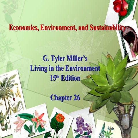 Economics, Environment, and Sustainability