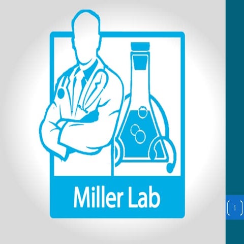 Startup Fundraising 101 | PDF