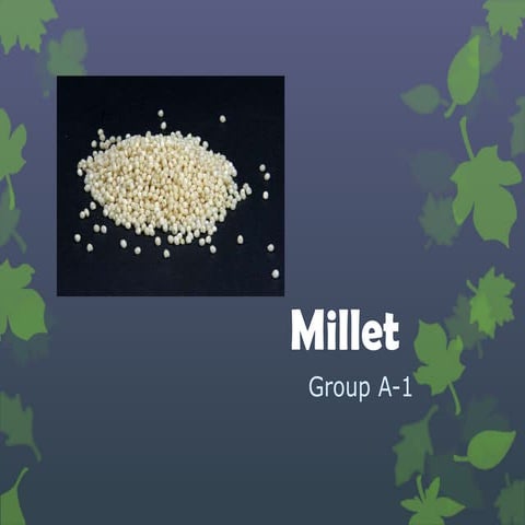 Millet