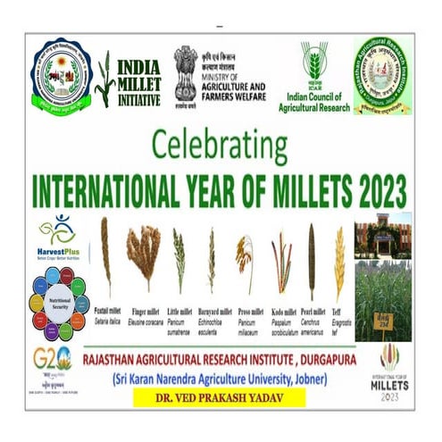 Millets 2023.pdf