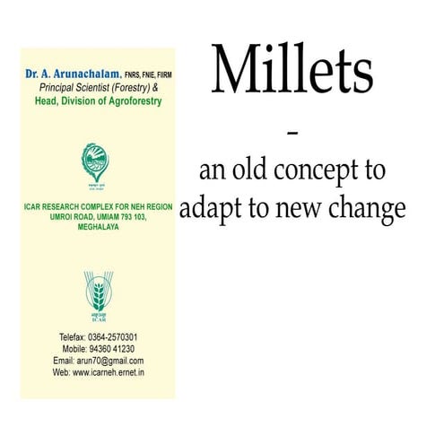Millets, An Old Concept To Adapt To New Change