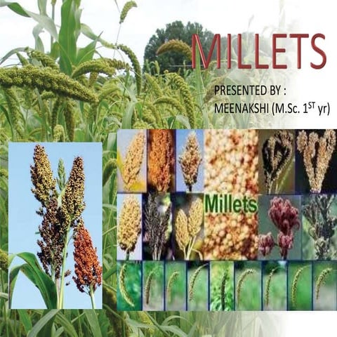 Millets 