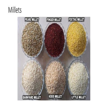 Millets Review of the Use and it's utility to the common man | PPTX
