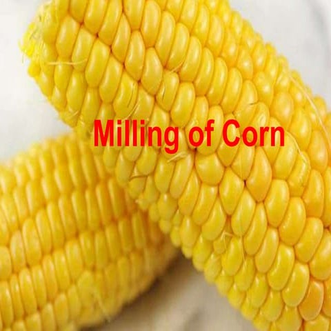 Milling of corn.ppt