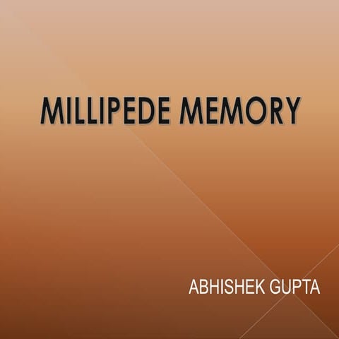 Millipede presentation