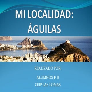 Mi localidad 1 b